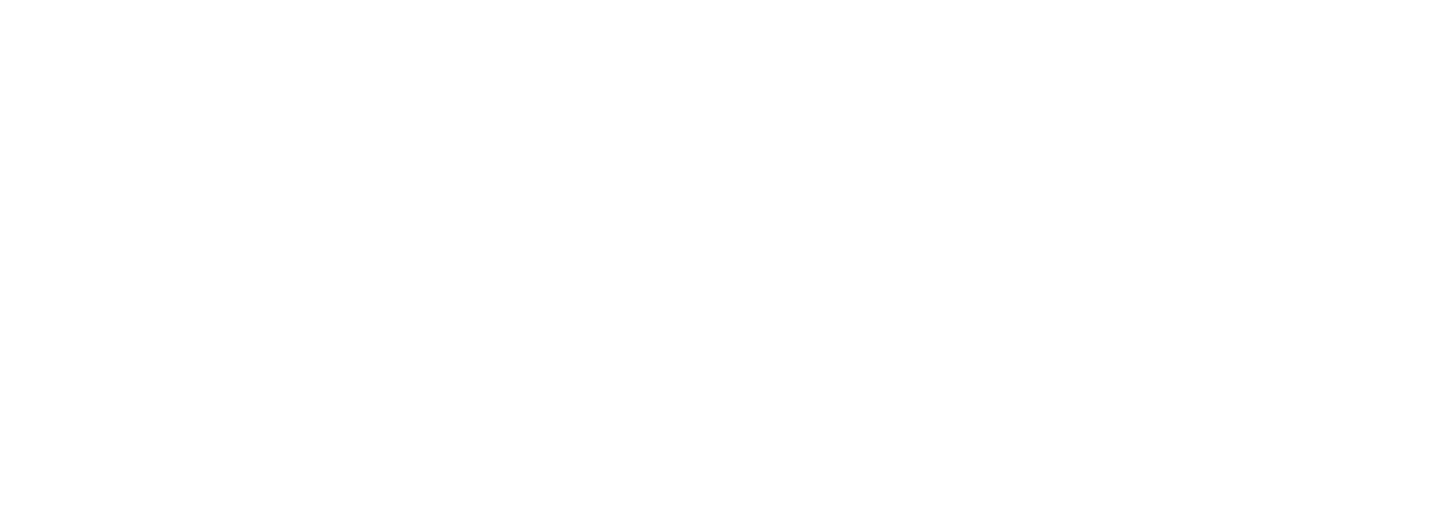 Web Rise Design